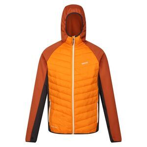 Regatta Mens Andreson VIII Hybrid Jacket / Orange Pepper/Burnt Copper